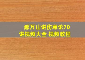 郝万山讲伤寒论70讲视频大全 视频教程